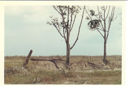 1969-70_-_Helicopter_in_distance._fs